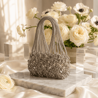 Designser Network Beaded Potli Bag | Silver